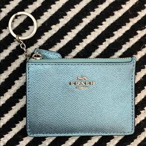 Coach Mini Skinny Is Case